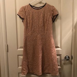 Women’s Ann Taylor Loft Pink Dress